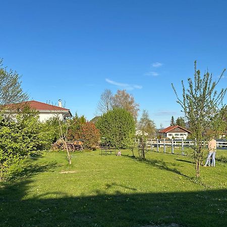 Black Horse Family Apartment - Barrierearm - Pfotenglueck - Familienzeit By Loewenherz Homes Stephanskirchen Luaran gambar